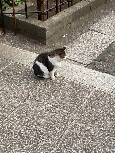 白山神社(東京都)