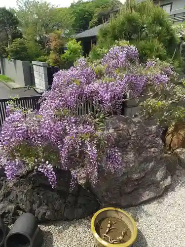 高圓寺(千葉県)