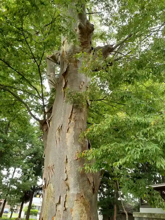 鳥海月山両所宮(山形県)