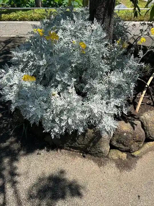 西新井大師総持寺(東京都)