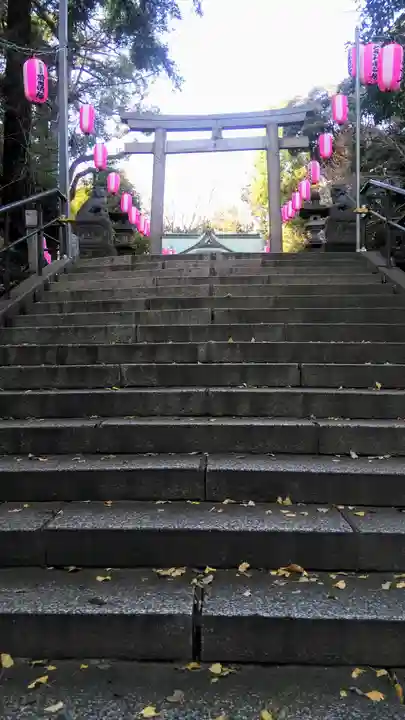 中野氷川神社の鳥居