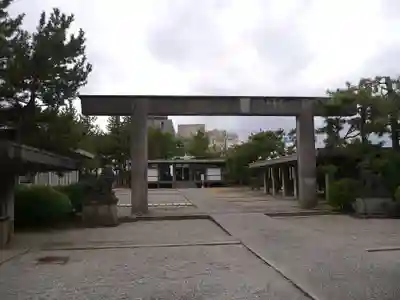 福井神社の鳥居