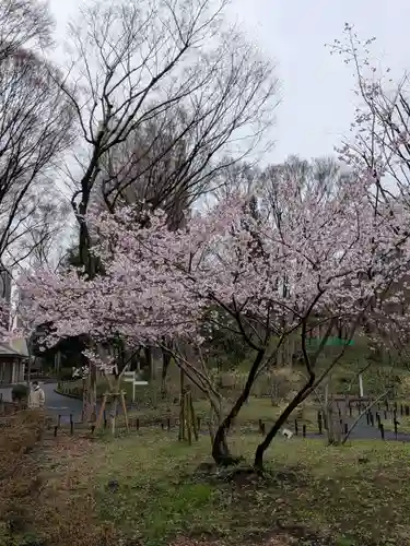 熊野神社(東京都)