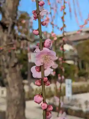 常性寺(東京都)