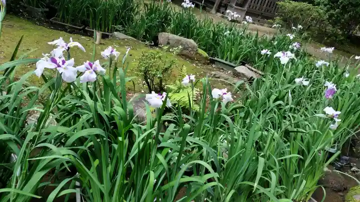 賀茂別雷神社(上賀茂神社)(京都府)