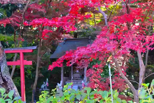 本土寺(千葉県)