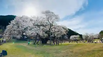 淡墨観音の御朱印 2025年04月