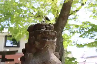 金澤八幡神社の狛犬