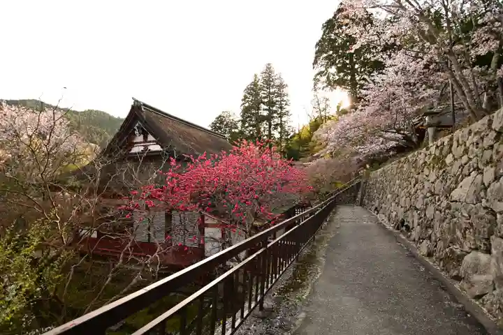 談山神社(奈良県)