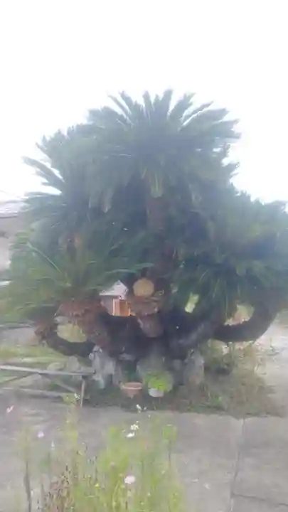 井際山 如意輪寺(愛知県)