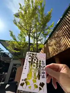 白山神社の御朱印 2024年10月01日(火)〜(2024年10月01日(火) 17時30分22秒投稿)