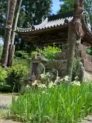 妙巌寺のお墓