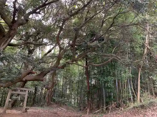 惣社八幡宮の建物その他