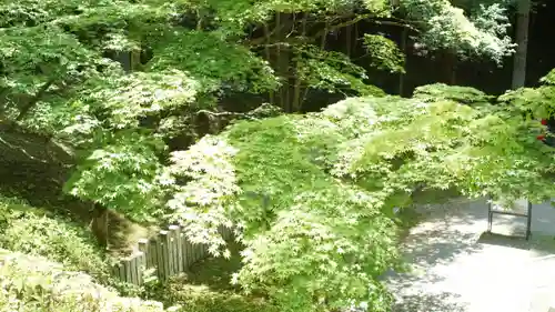今熊野観音寺(京都府)