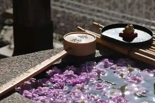 阿邪訶根神社の手水