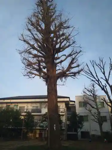 稲荷森稲荷神社(東京都)