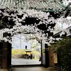 湯島聖堂の山門