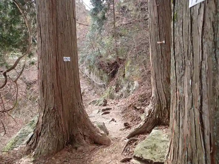 武蔵御嶽神社奥の院の自然