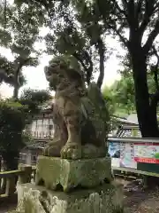 美保神社の狛犬