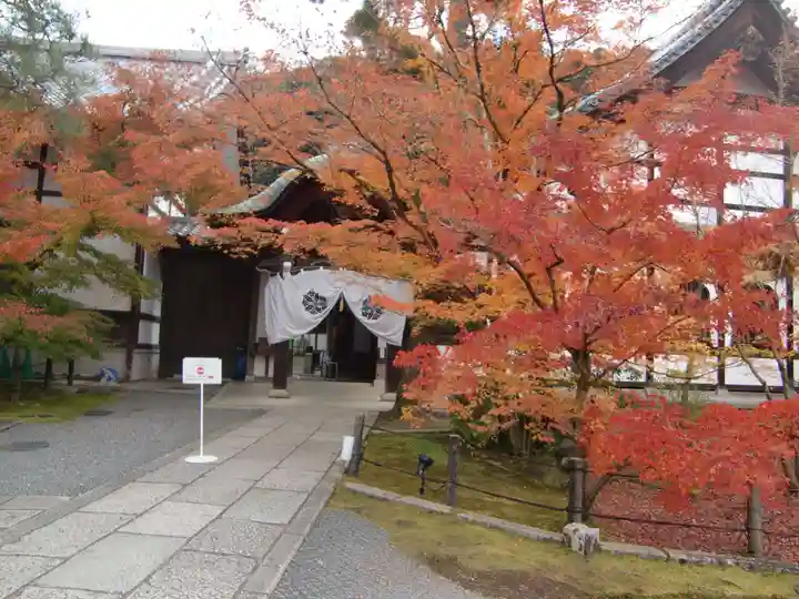 禅林寺(永観堂)(京都府)