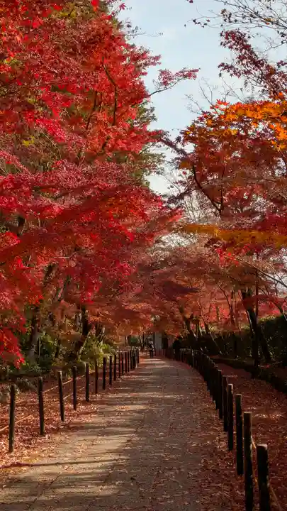 光明寺(粟生光明寺)(京都府)