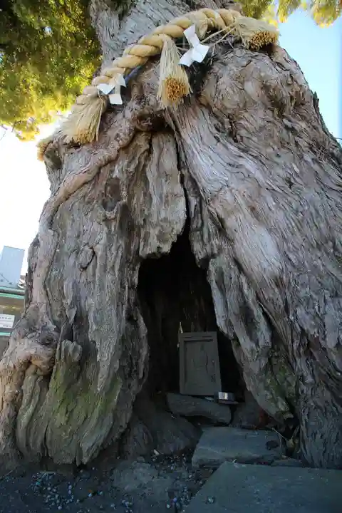 前玉神社(埼玉県)