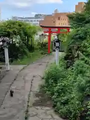 東山稲荷神社の鳥居