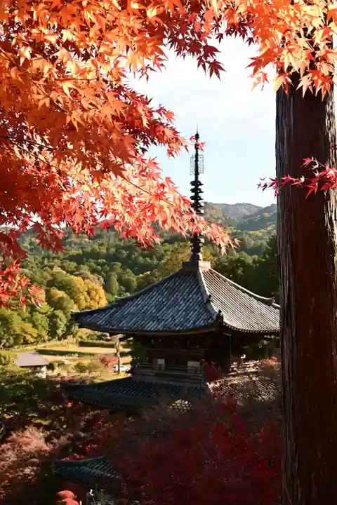 常樂寺(滋賀県)