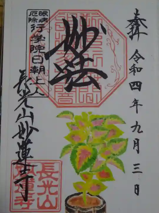 妙蓮寺の御朱印