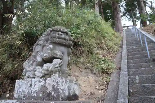 阿久津「田村神社」（郡山市阿久津町）旧社名：伊豆箱根三嶋三社の狛犬