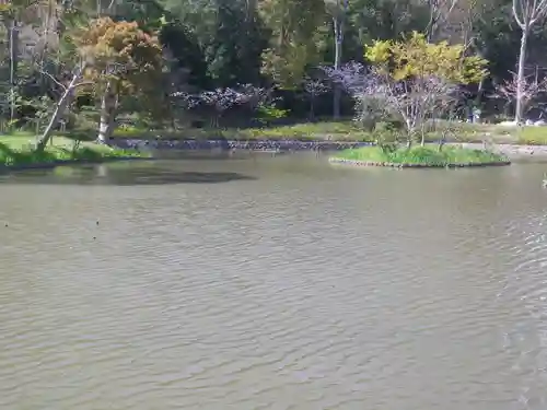 鶴岡八幡宮の庭園