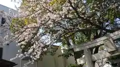 千代森神社の自然