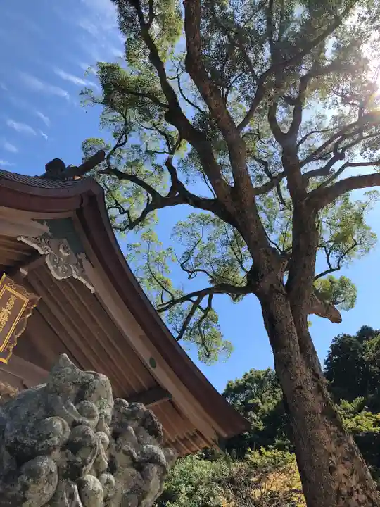 宝満宮竈門神社(福岡県)