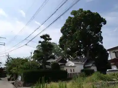 津秦天満宮のその他建物