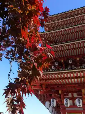 高幡不動尊　金剛寺(東京都)