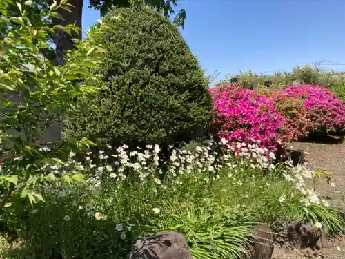 明珠院(神奈川県)