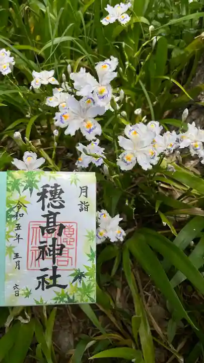 穂高神社本宮の御朱印