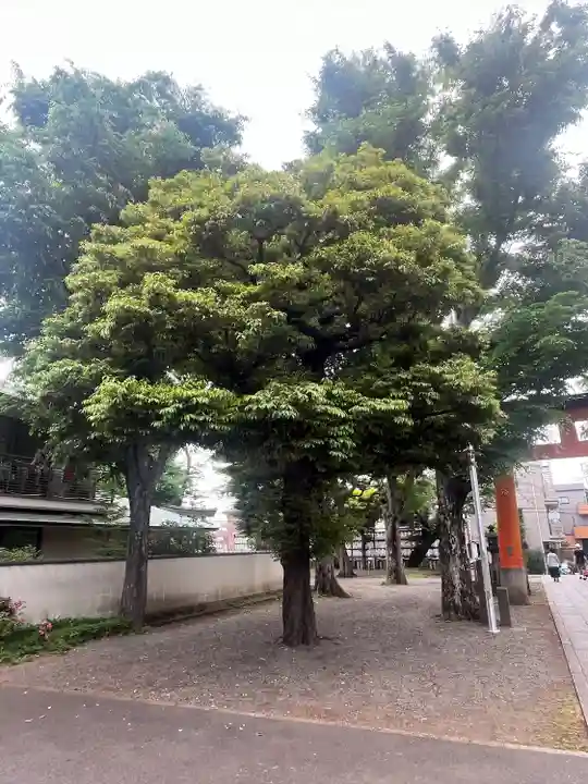 旗岡八幡神社(東京都)