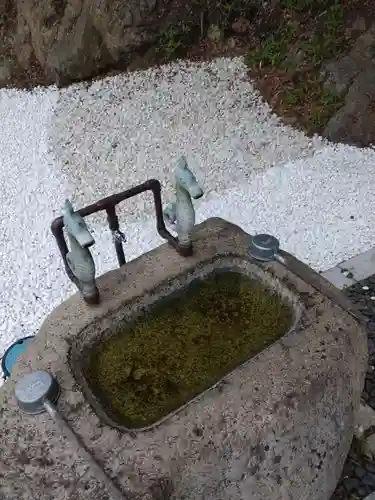安乎岩戸信龍神社　(安乎八幡神社 摂社)の手水舎
