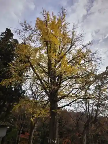 大蔵寺(福島県)