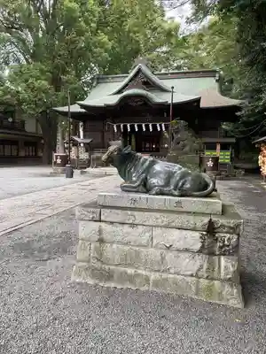 谷保天満宮(東京都)