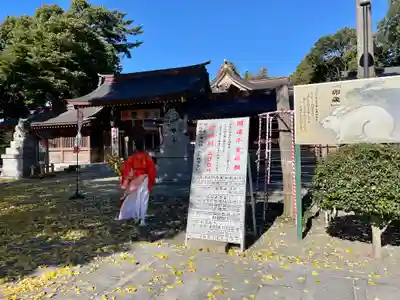 亀ケ池八幡宮(神奈川県)