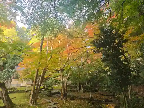 宗鏡寺(兵庫県)