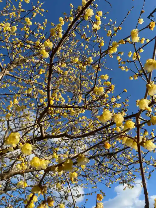 羽黒山神社の{uncategorized: "未分類", other: "その他", undefined: "問題あり", building: "その他建物", grave: "お墓", sacred_gate: "鳥居", guardian: "狛犬", statue: "像", buddha: "仏像", history: "歴史", nature: "自然", garden: "庭園", animal: "動物", pagoda: "塔", temizu: "手水舎", mountain_gate: "山門・神門", sanctuary: "本殿・本堂", subordinate: "末社・摂社", art: "芸術", scenery: "景色", jizo: "地蔵", ema: "絵馬", goshuin: "御朱印", omikuji: "おみくじ", items: "授与品その他", amulet: "お守り", goshuincho: "御朱印帳", eats: "食事", festival: "お祭り", votive_dance: "神楽", shichigosan: "七五三参", wedding: "結婚式", experience: "体験その他", initially: "初詣", around: "周辺", anti_infection: "感染症対策"}