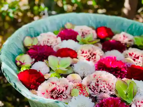 行田八幡神社(埼玉県)