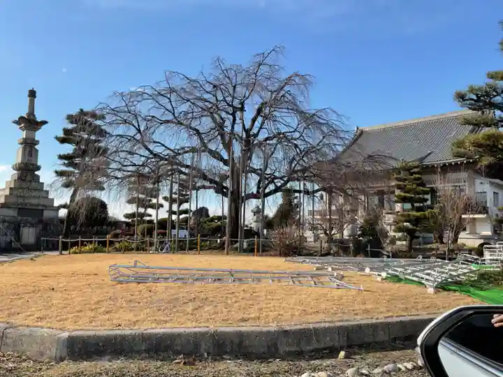 正眼寺(愛知県)