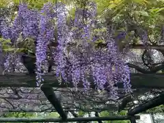 林光寺の庭園