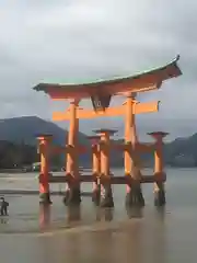 厳島神社(広島県)