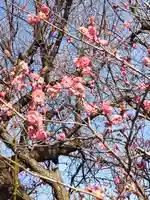 文殊寺(埼玉県)