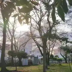 神明社（国府宮神明社）の景色